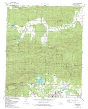 Talihina USGS topographic map 34095g1