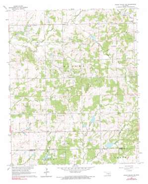 Pauls Valley NE USGS topographic map 34097f1