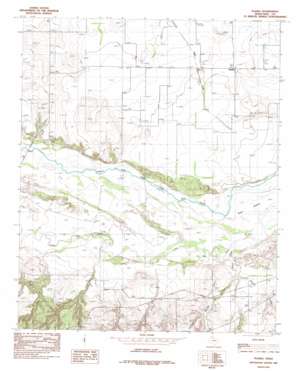 Plaska USGS topographic map 34100e6