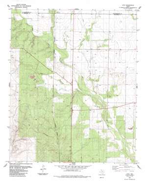 Loco USGS topographic map 34100f2