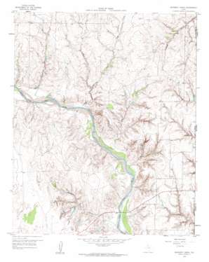 Shinnery Creek topo map