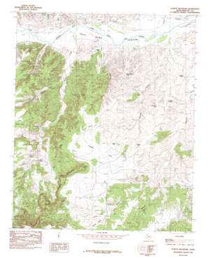 Schott Mountain topo map