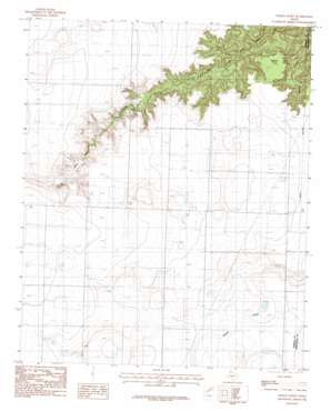 Wesley Point topo map