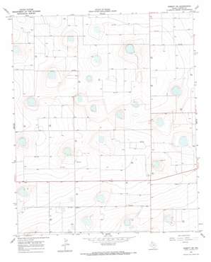 Dimmit Sw USGS topographic map 34102e4