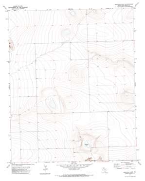 Mustang Lake USGS topographic map 34102h8
