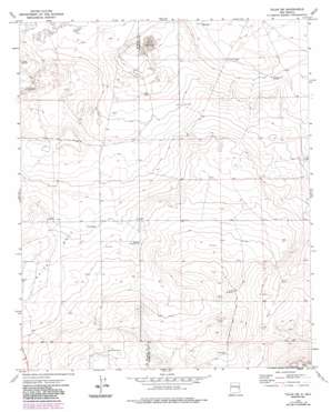 Tolar Sw USGS topographic map 34103c8