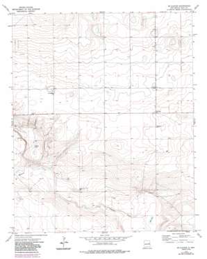 Mcalister topo map