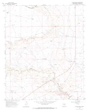 Alamo Ranch USGS topographic map 34104c3