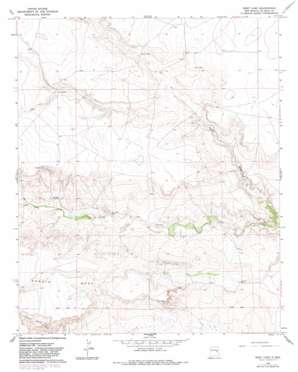 West Camp USGS topographic map 34104c4
