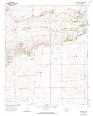 Borica SW USGS topographic map 34104e6