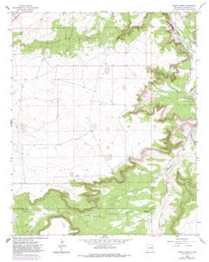 Puerto Creek USGS topographic map 34104g6