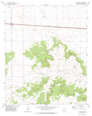 San Ignacio USGS topographic map 34104h8