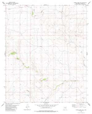 Cowboy Mesa Sw topo map