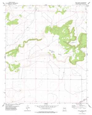 Tapia Ranch USGS topographic map 34105g1