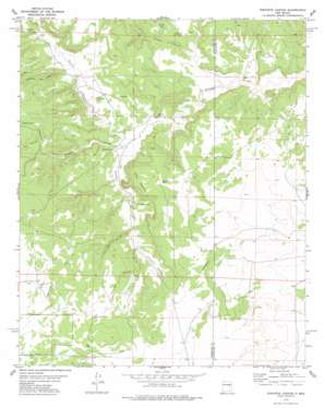 Pinavete Canyon USGS topographic map 34105g3