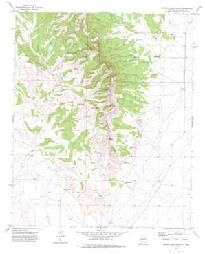 Sierra Larga South topo map