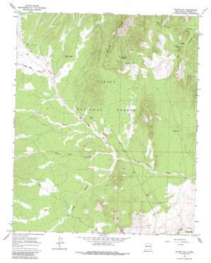 Silver Hill USGS topographic map 34107b3