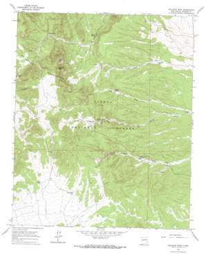 Gallinas Peak USGS topographic map 34107b4