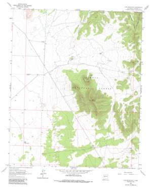 Lion Mountain USGS topographic map 34107b5