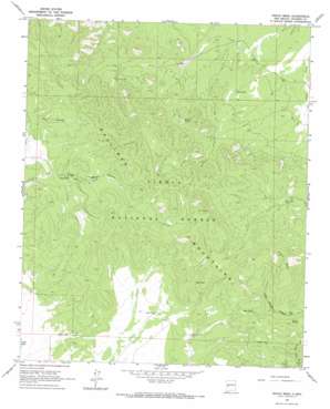 Indian Mesa topo map