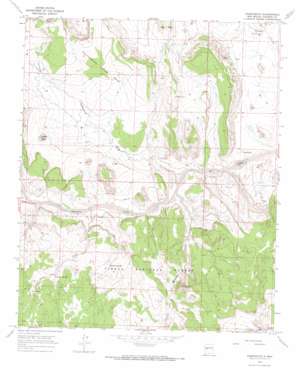 Puertecito USGS topographic map 34107d4