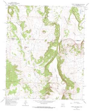 Pueblo Viejo Mesa USGS topographic map 34107e5
