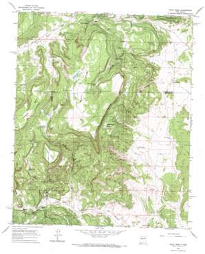 Wiley Mesa topo map