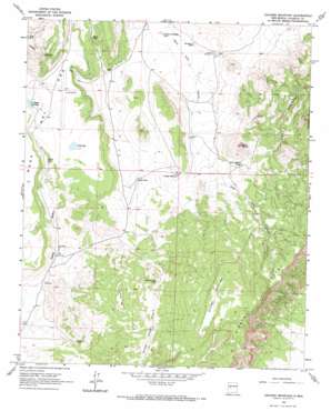 Chicken Mountain USGS topographic map 34107f3