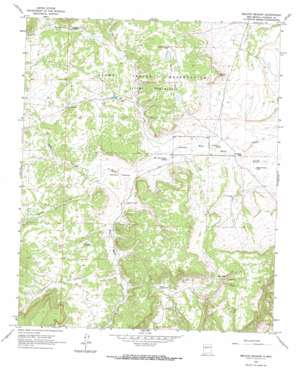 Mecate Meadow topo map