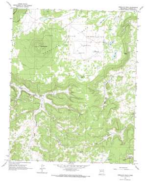 Cebollita Peak USGS topographic map 34107f7