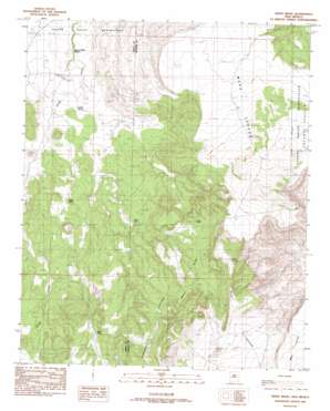 White Ridge USGS topographic map 34107g2