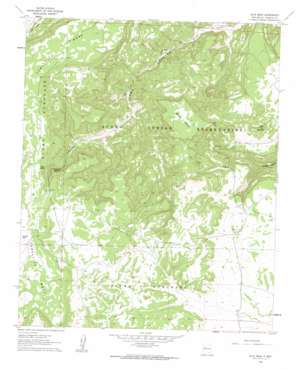 Blue Mesa topo map