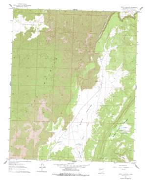 North Pasture USGS topographic map 34107g8