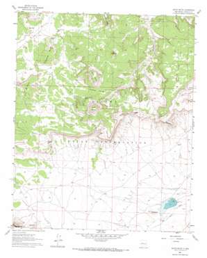 South Butte topo map