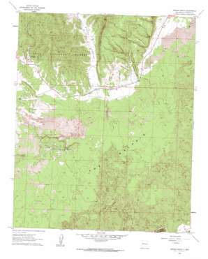 Arrosa Ranch USGS topographic map 34107h8