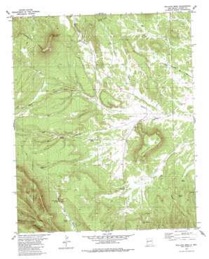 Wallace Mesa topo map