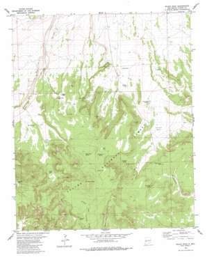 Black Peak USGS topographic map 34108a7