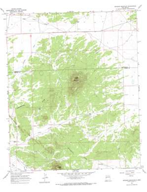 Veteado Mountain USGS topographic map 34108e3