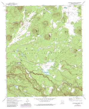 Horseshoe Cienega USGS topographic map 34109a6
