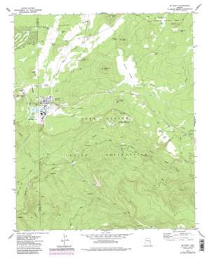 McNary USGS topographic map 34109a7