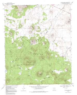 Whiting Knoll topo map