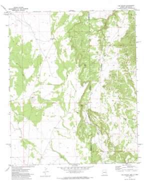 The Rincon USGS topographic map 34109c1