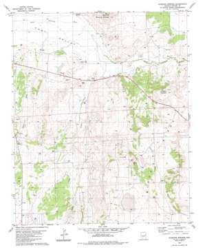 Stinking Springs USGS topographic map 34109e5