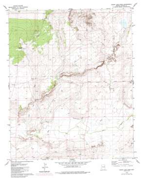 Cedar Lake Wash topo map