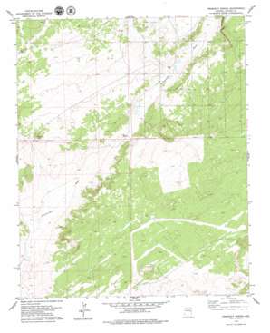 Prospect Spring USGS topographic map 34109g3