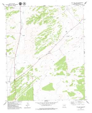 Wild Cow Lake USGS topographic map 34109h2