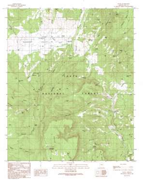 Young topo map