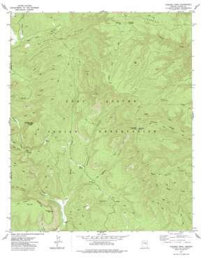 Chediski Peak USGS topographic map 34110b6