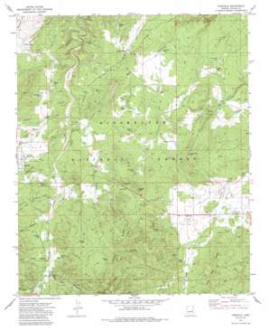 Pinedale topo map