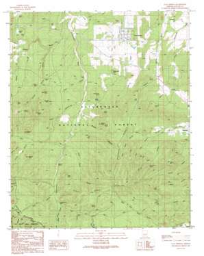 Clay Springs topo map